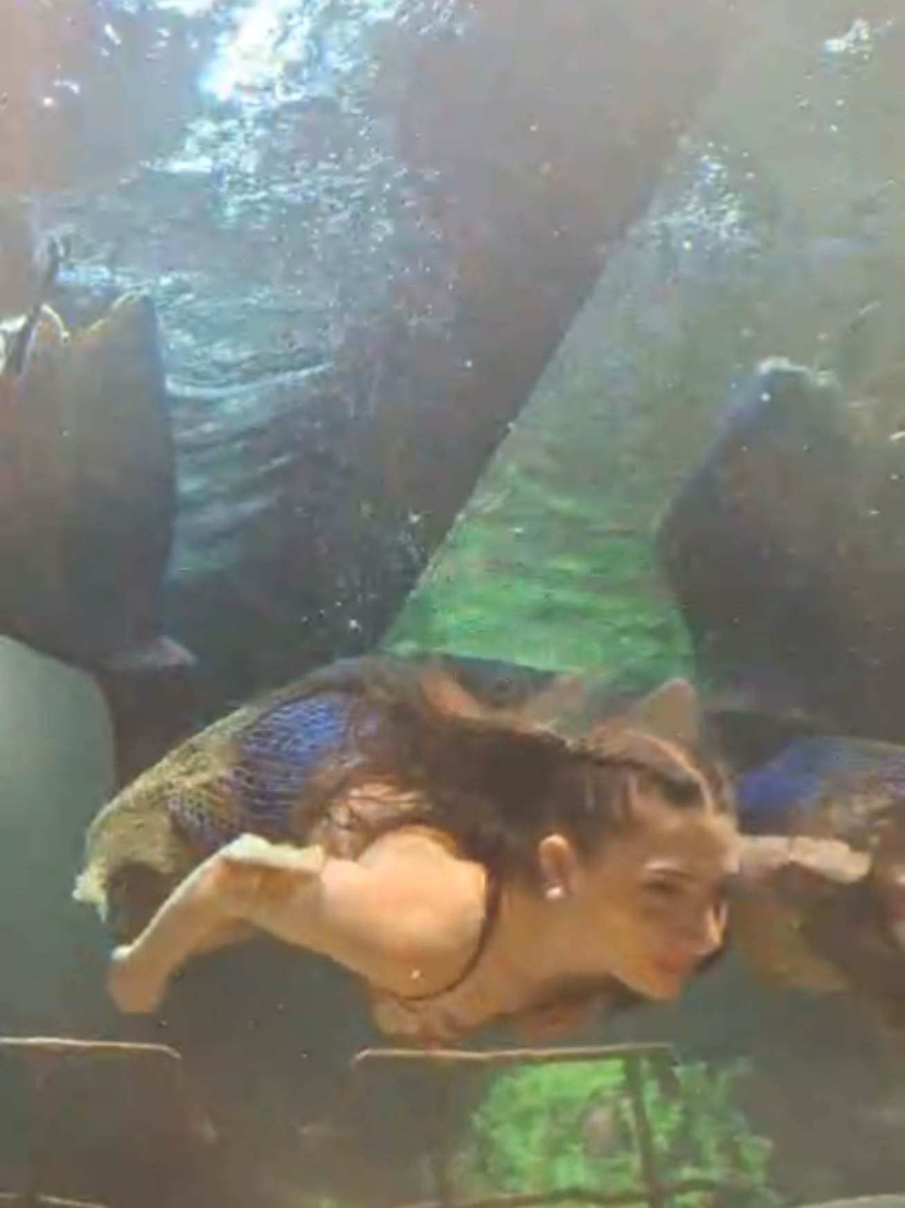 @mermaidevmyira