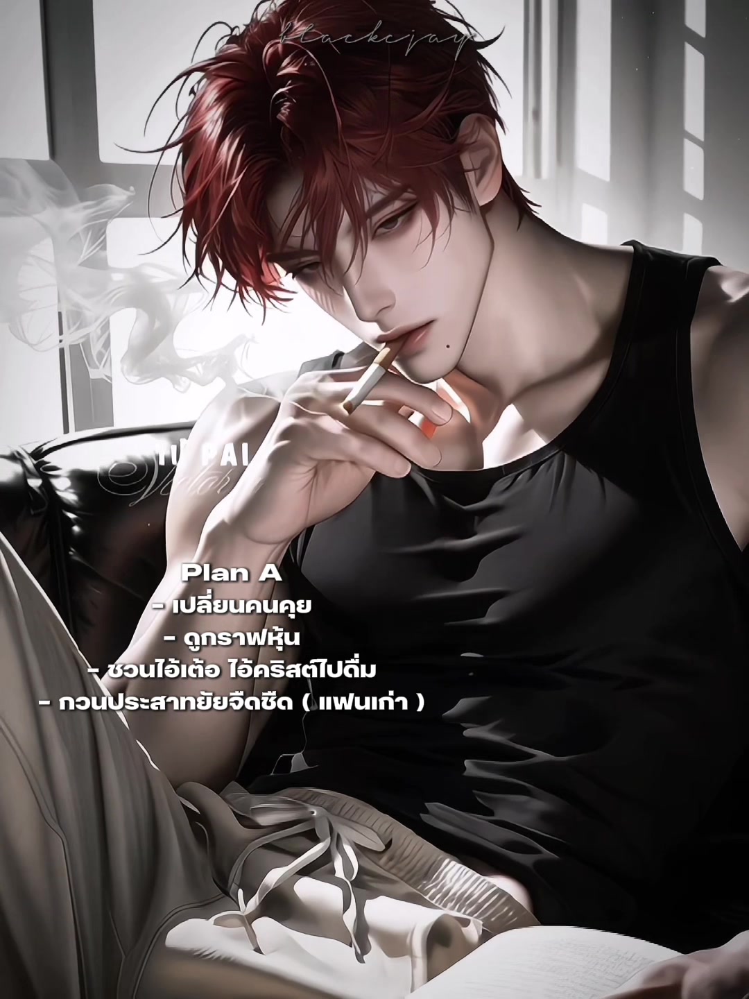 @เจซีแมวดำ