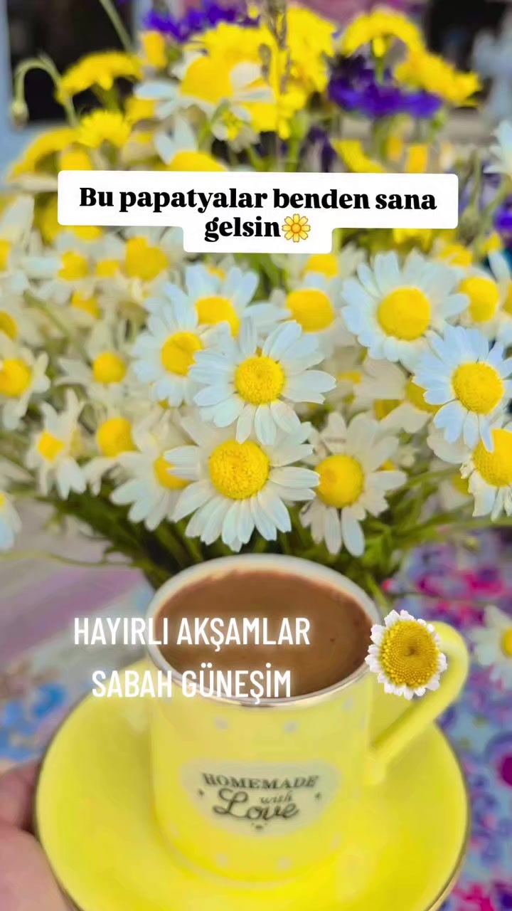 @Hasan Yılmaz