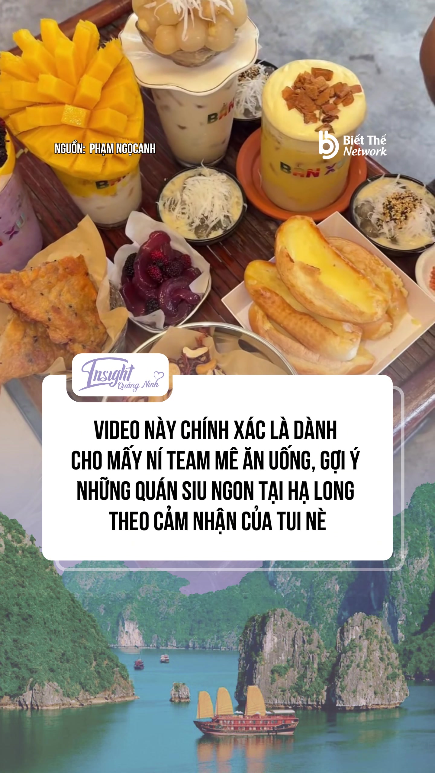 @Insight Quảng Ninh