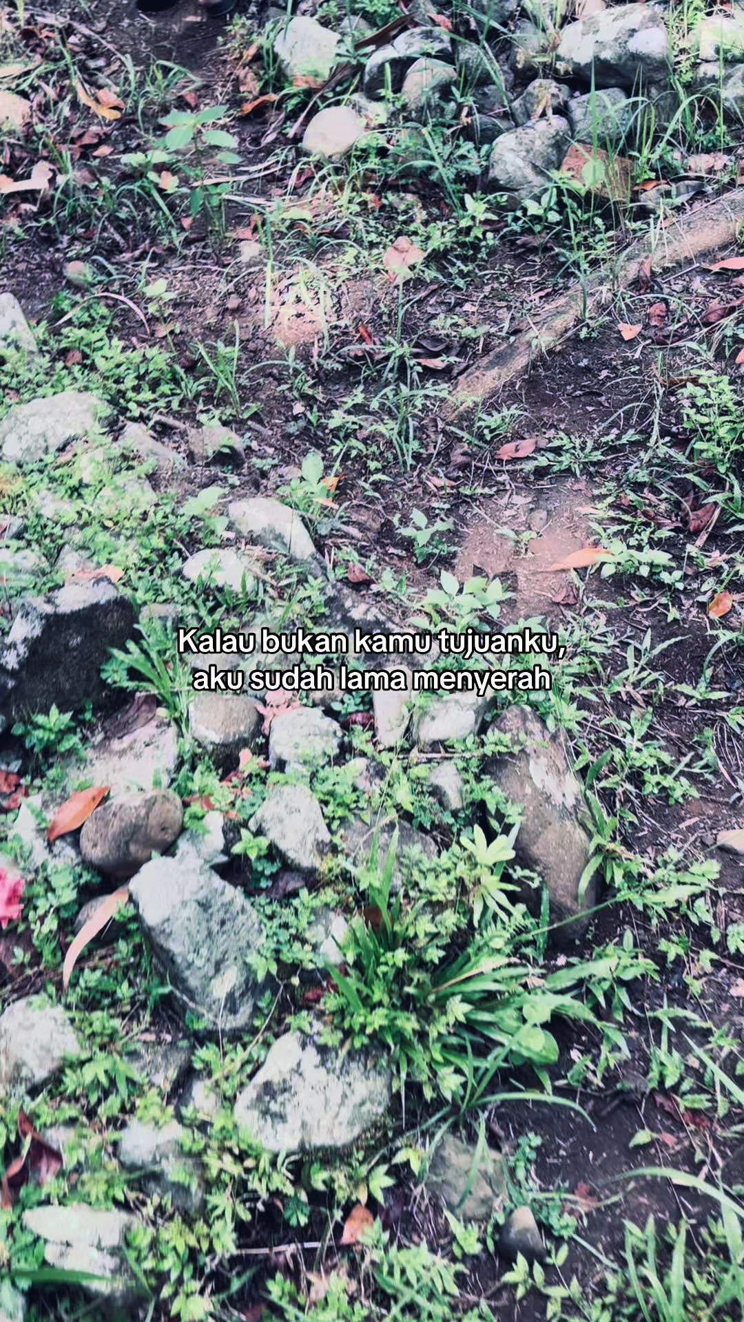 @SAD