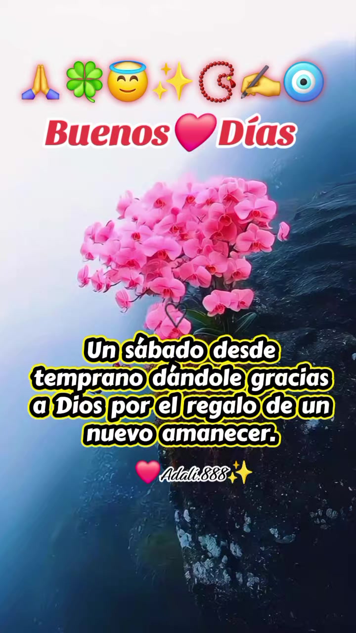@@Adalí888
