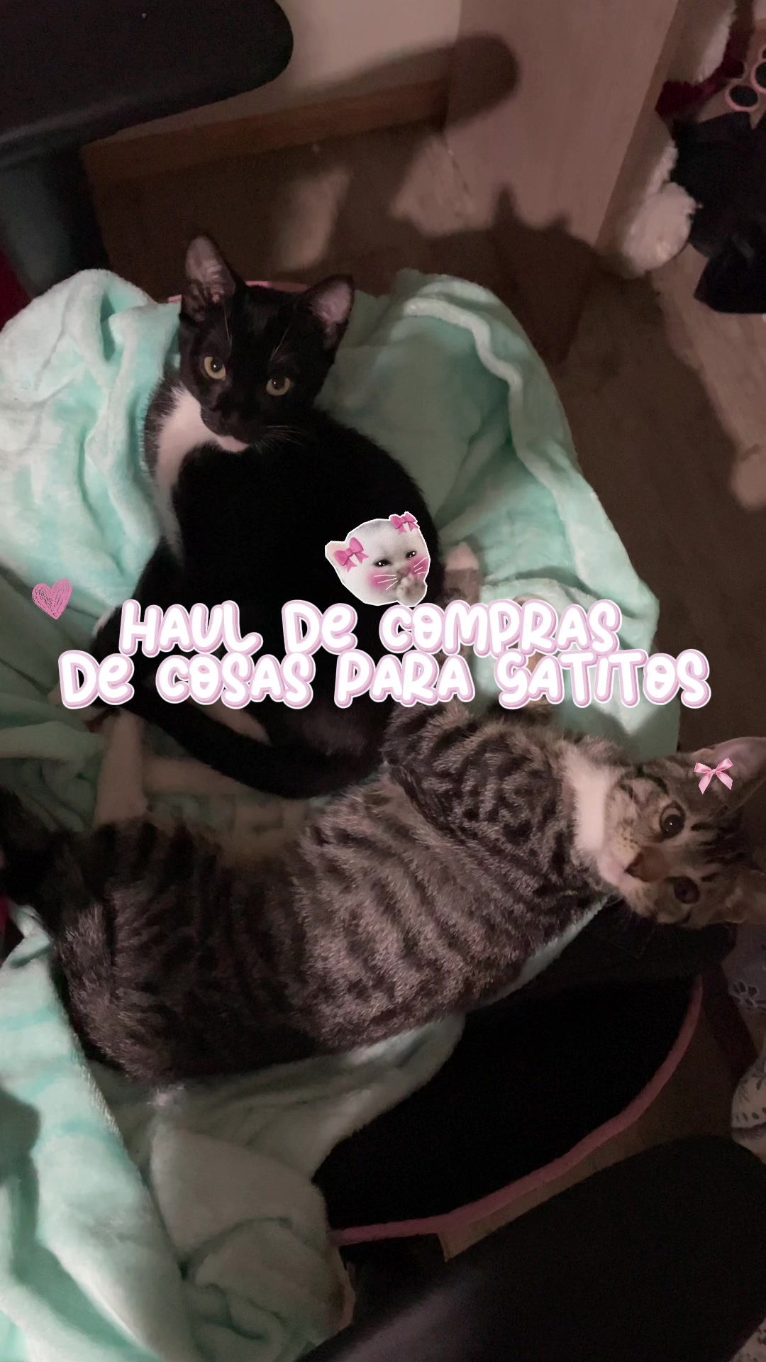 @Rayito y negrita
