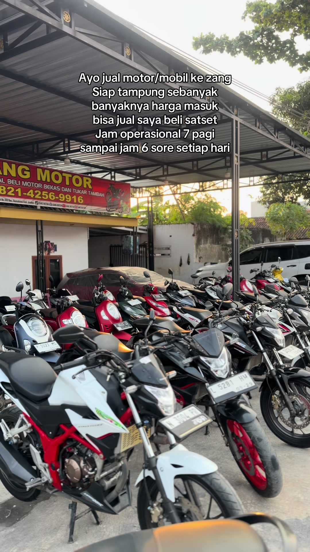 @Zang Motor
