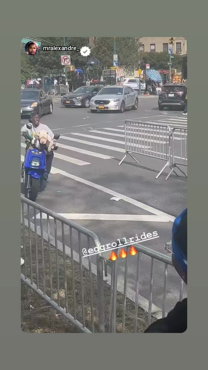@eggrollrides