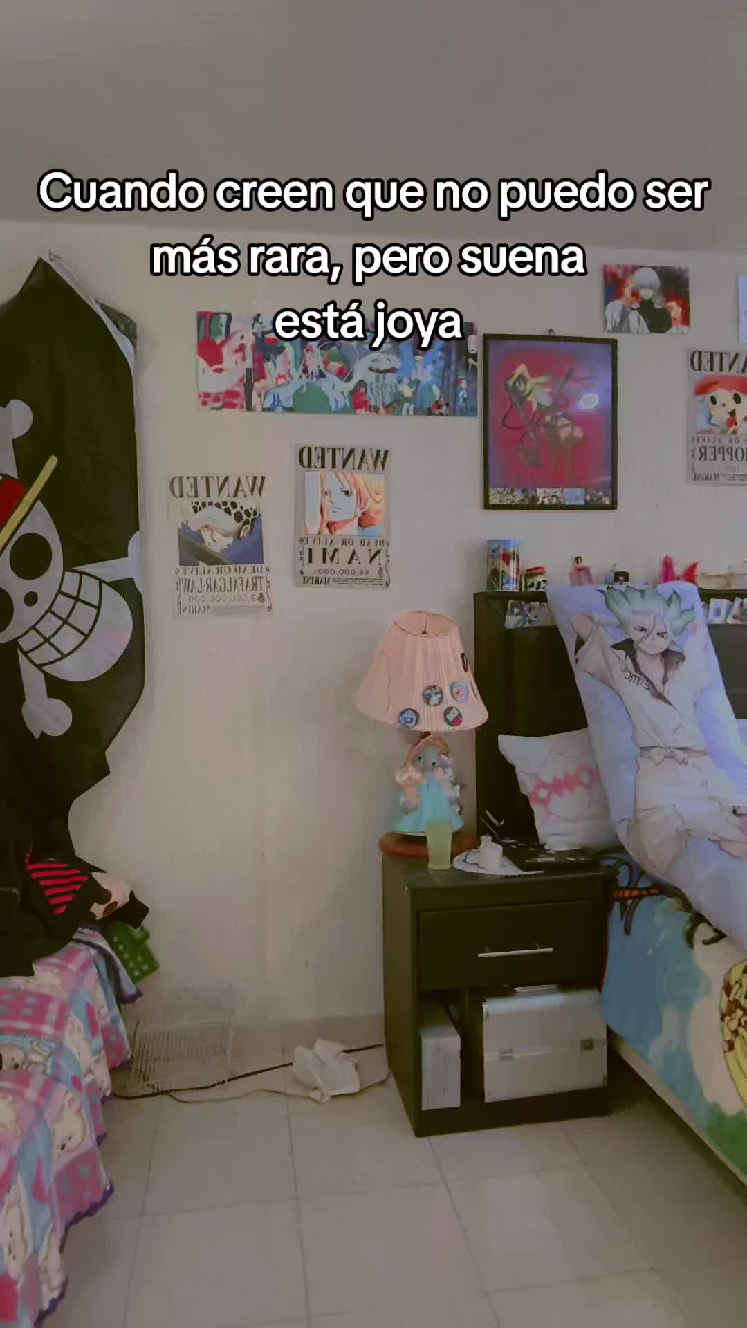 @LauraZanGremoriGasai