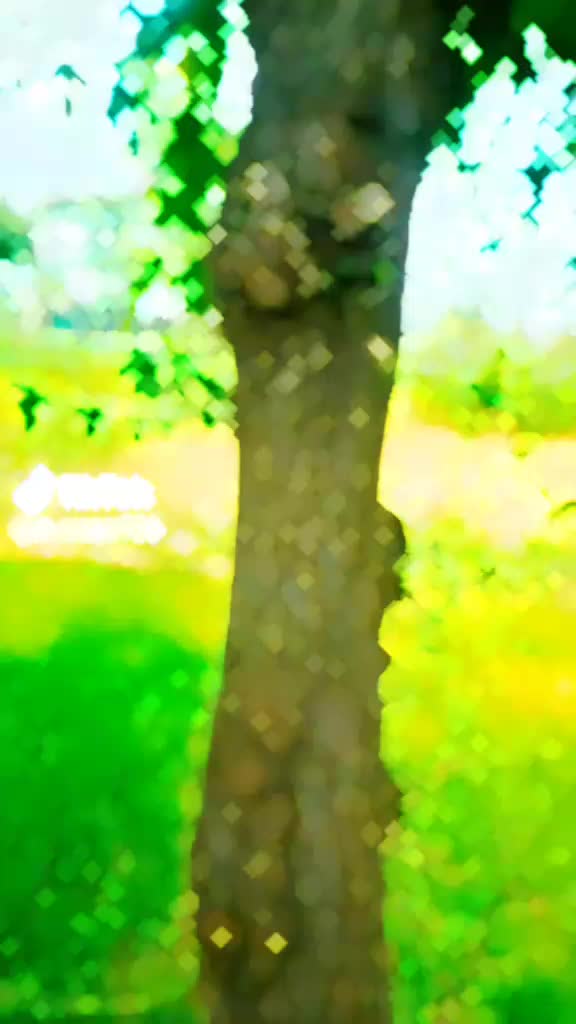 @🥷🥷Dilshad,MAYO,🥷💯💞💖💎🥷