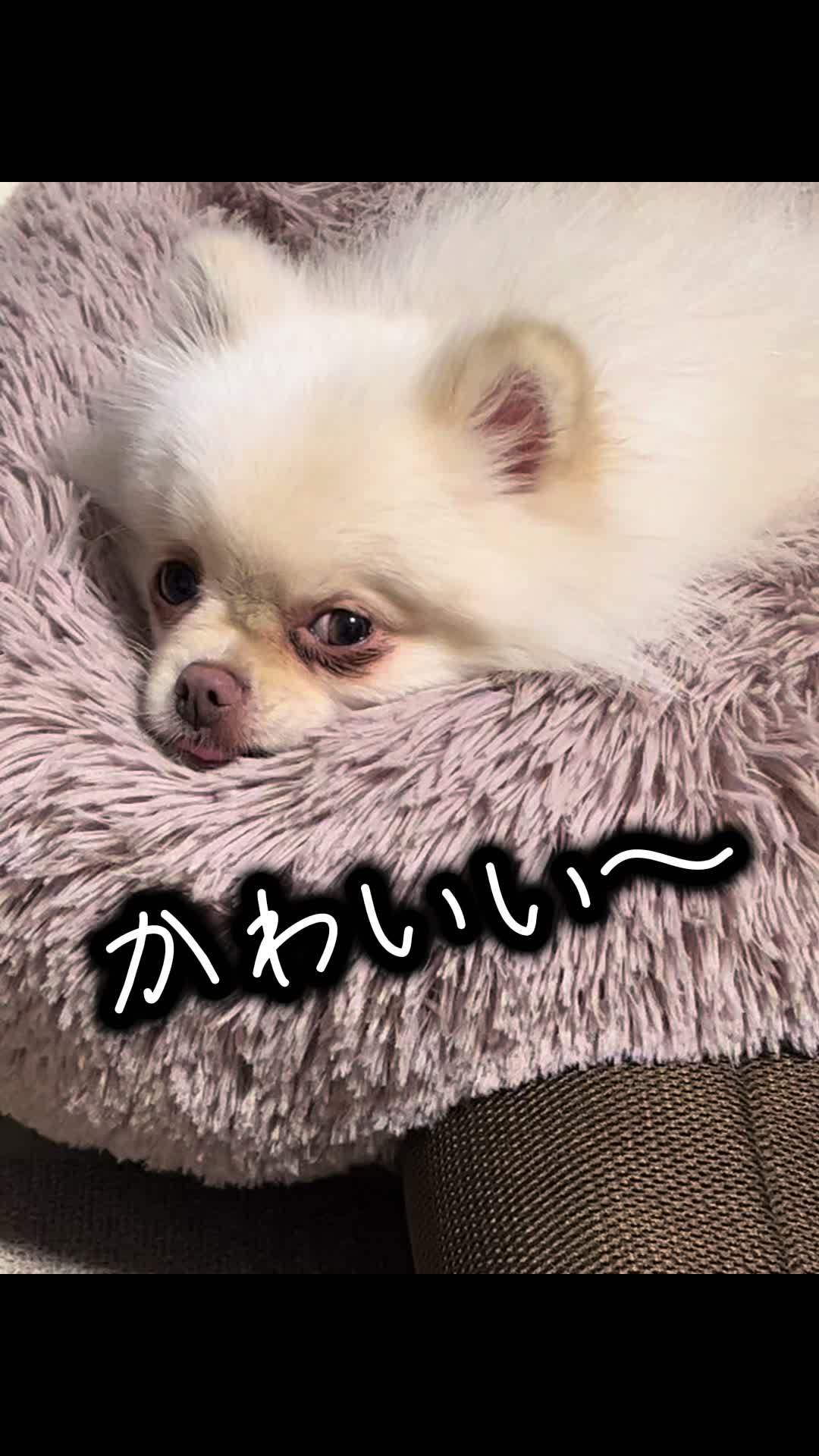 @ちーちゃん