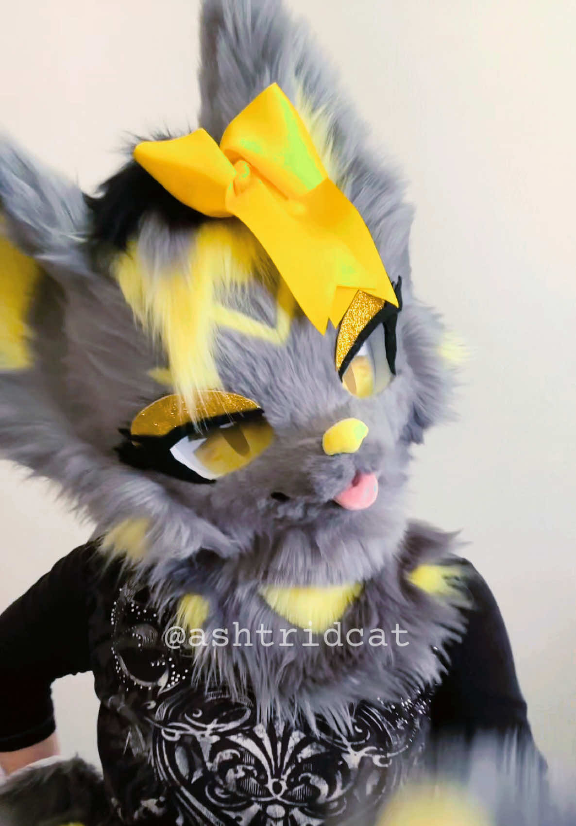 @AshtridCat