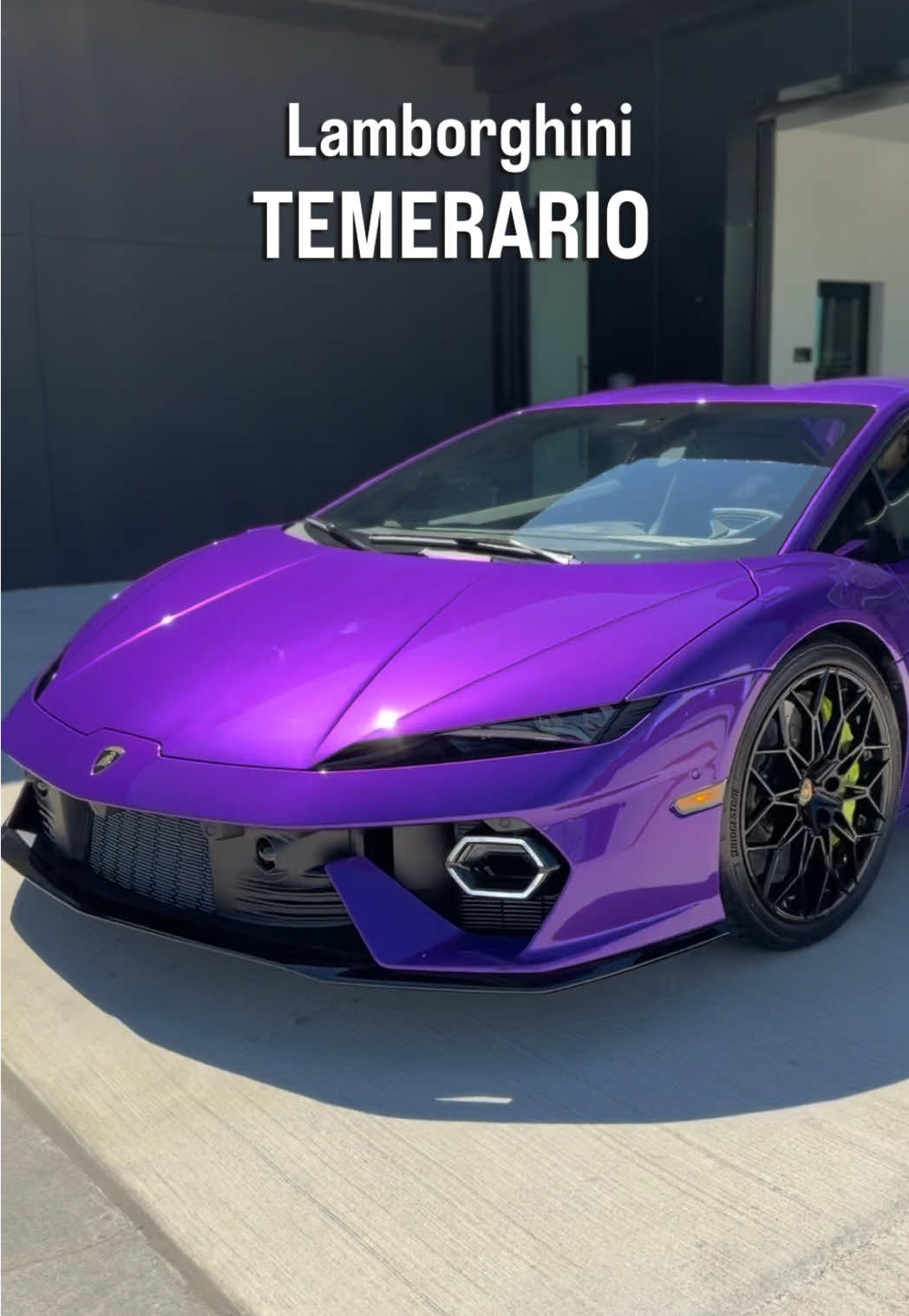 @exotic.trent