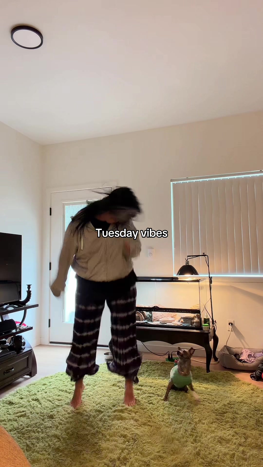 @Lexisaurus 🦕