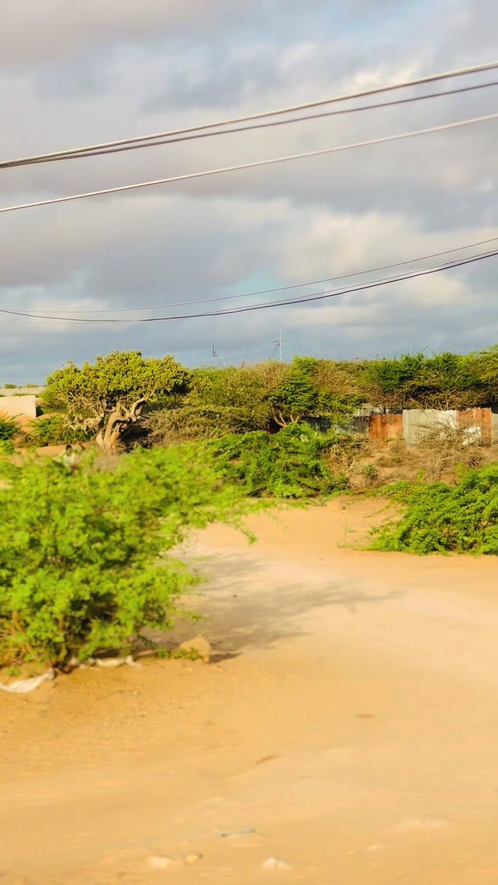 @Duliyaha🐎diyaradadhulka🇸🇴🐎