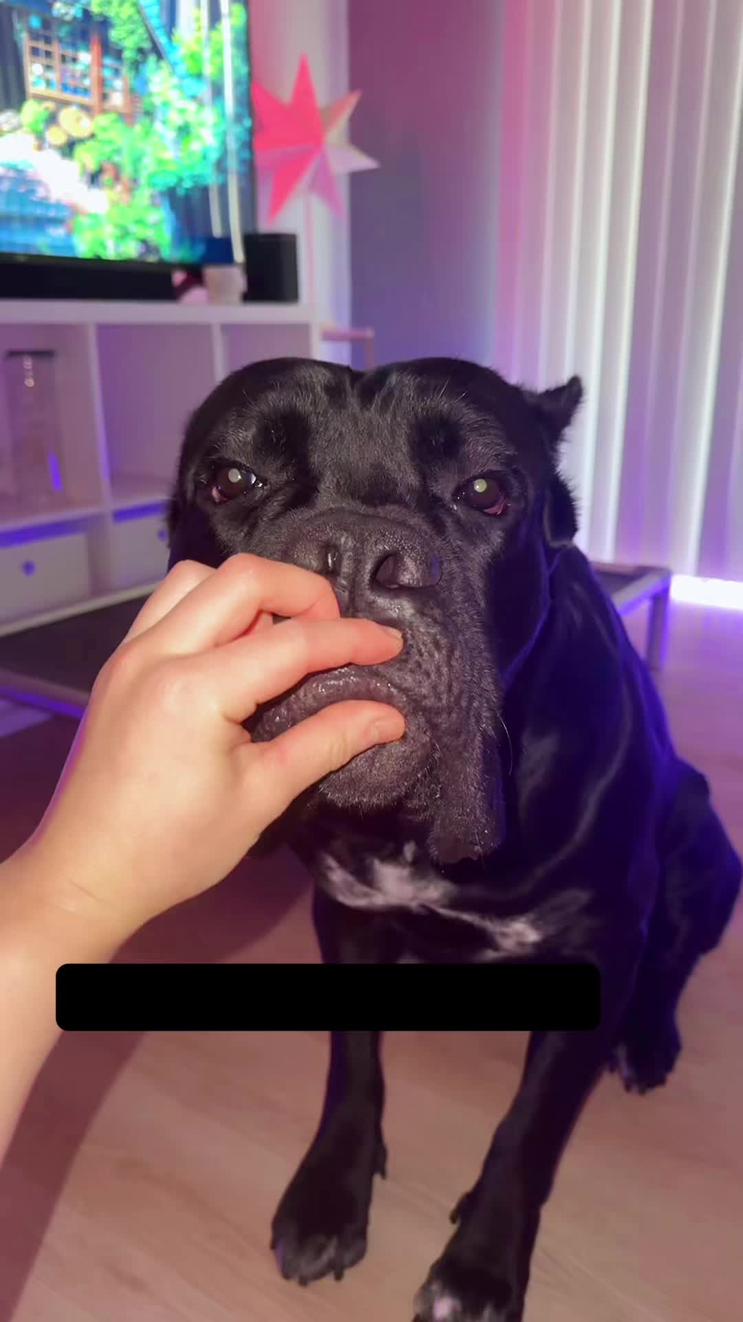 @Bentley Has Issues