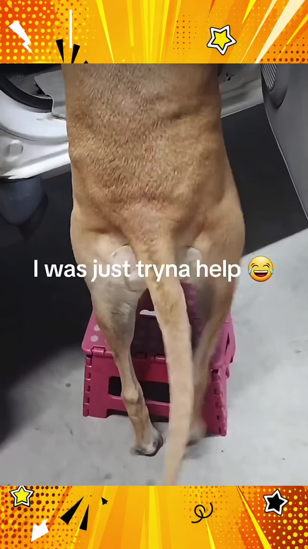 @V2Memes