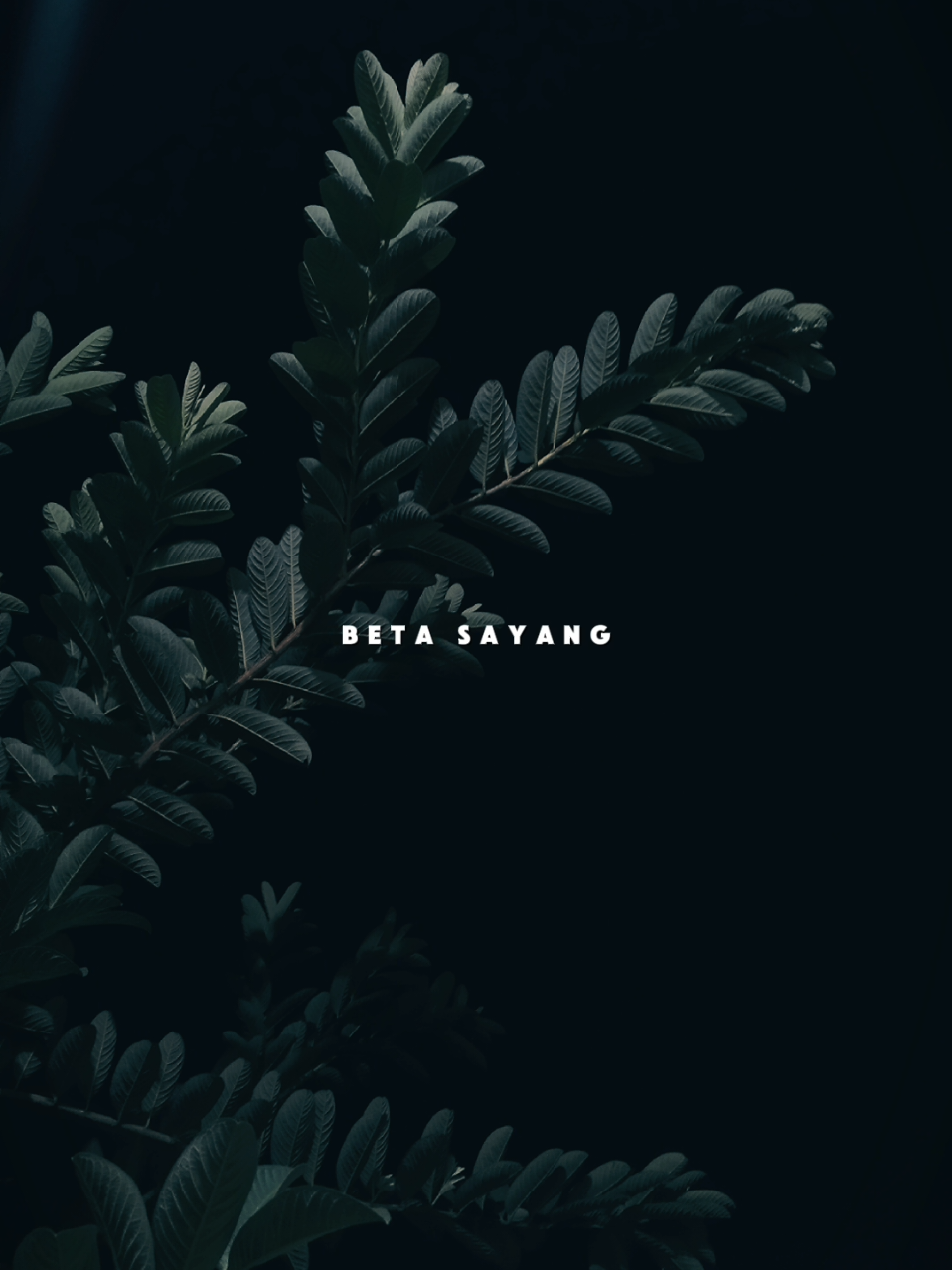 @𝐋𝐢𝐫𝐢𝐤 𝐒𝐞𝐝𝐞𝐫𝐡𝐚𝐧𝐚