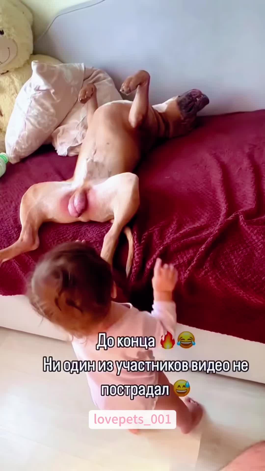 @lovepets_001