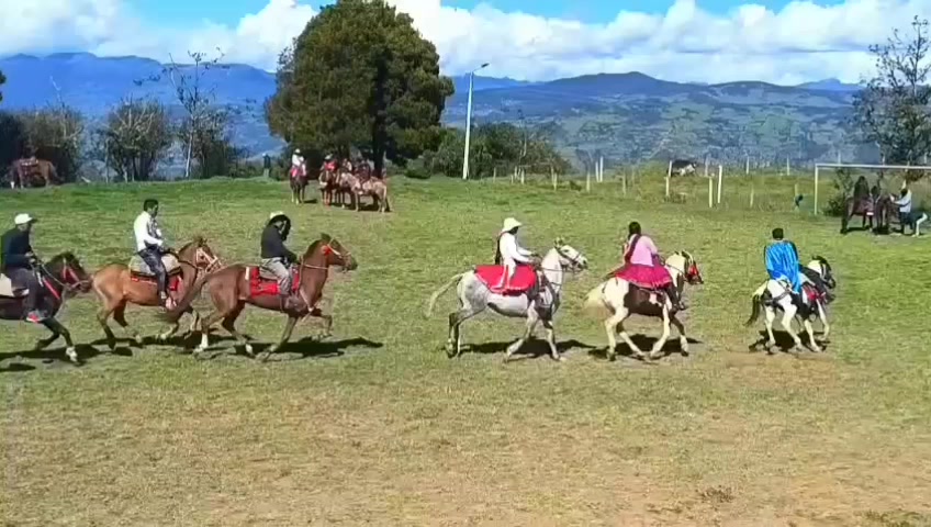 @veronicasarmiento