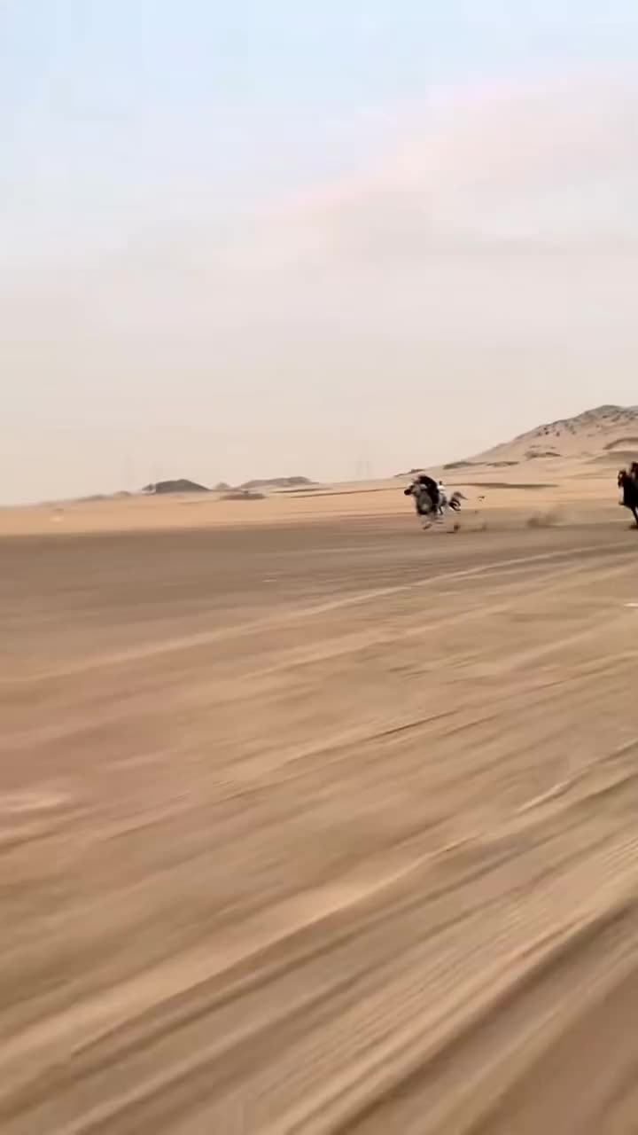 @ThunderGallops