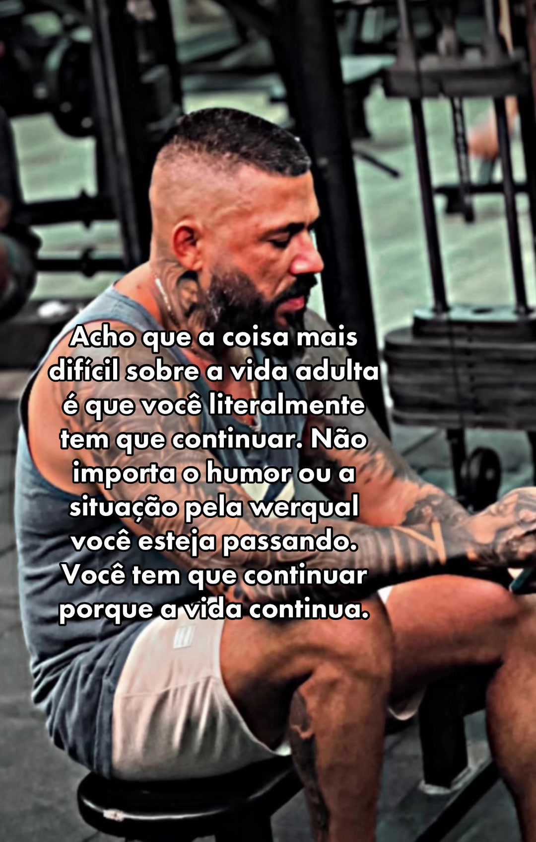 @Andre cavuca 🔹