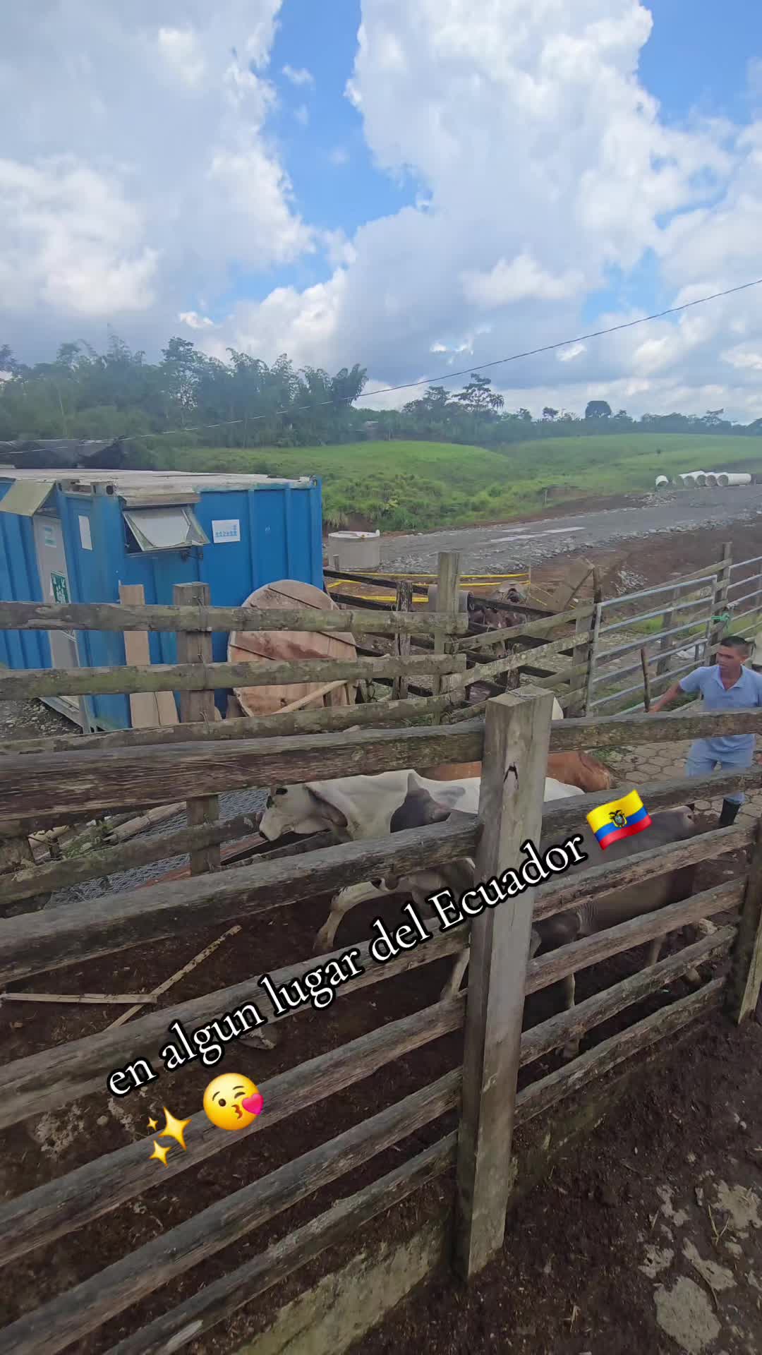 @🐓TU GALLO FINO 🐓