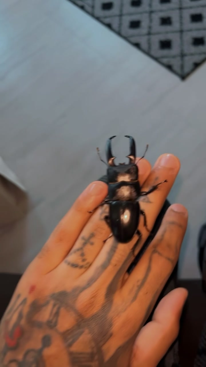 @tttheantman