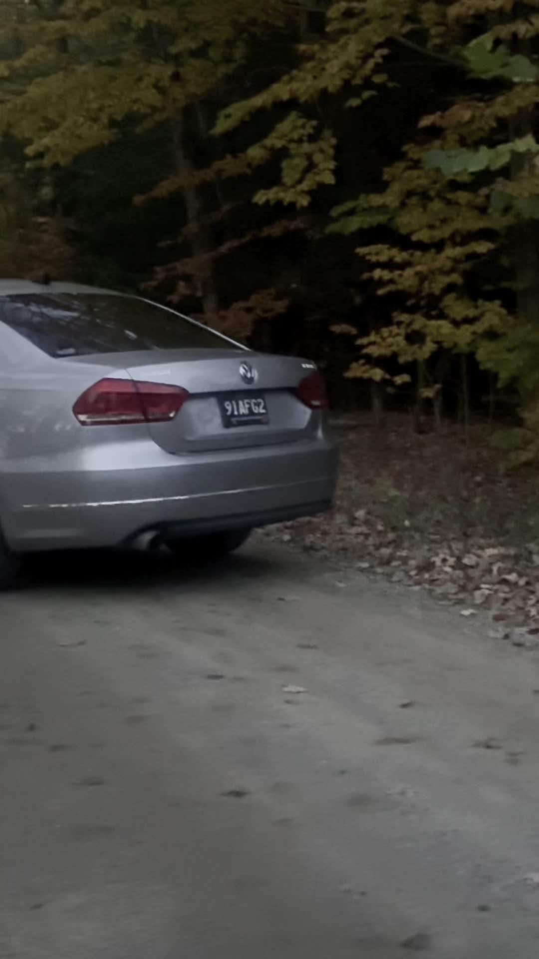 @b7trash⨈