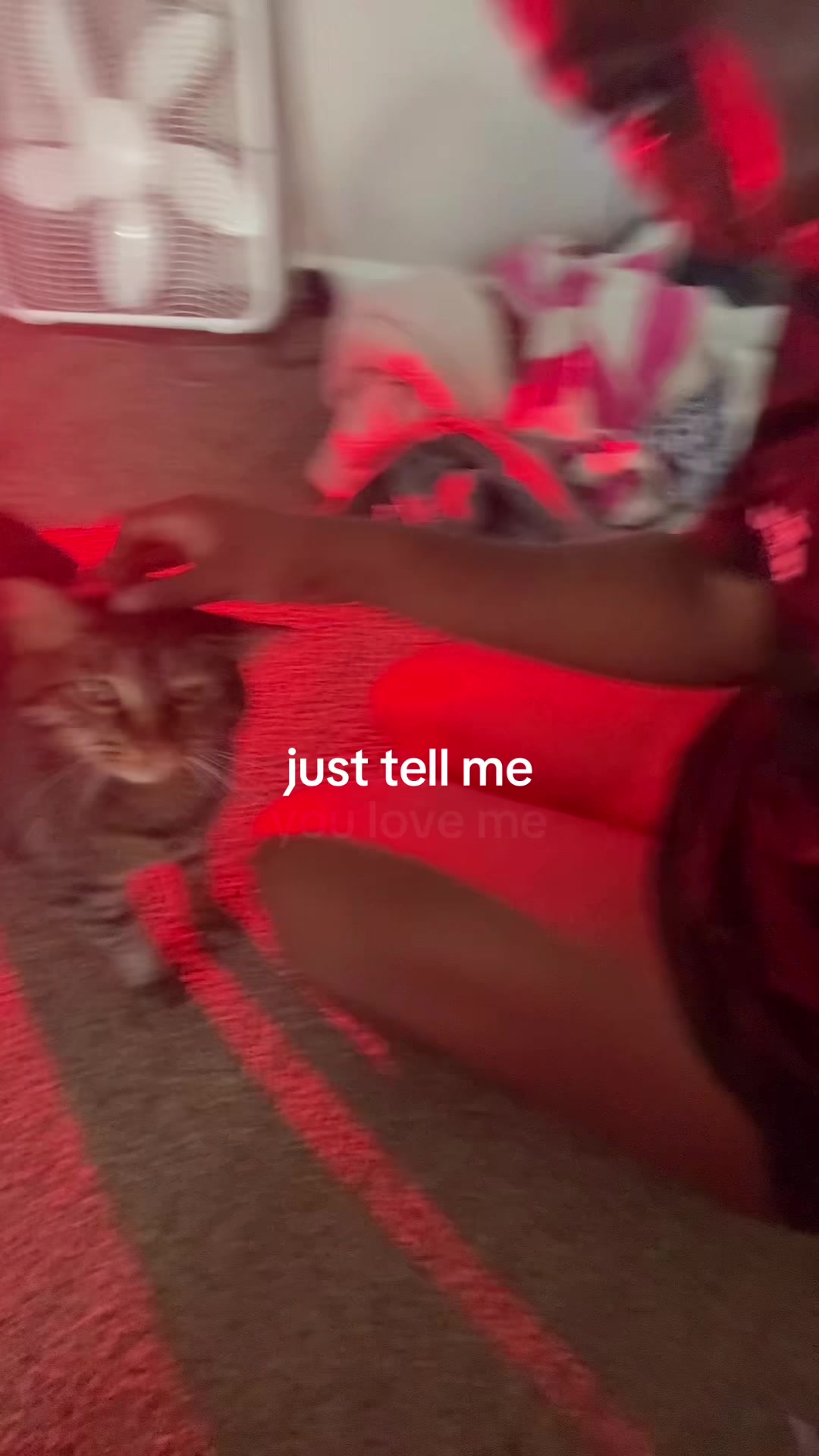 @jaidy bear