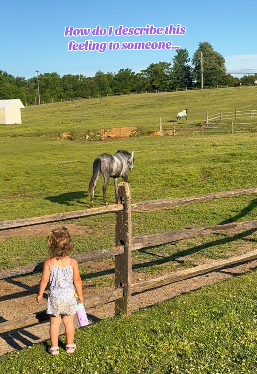 @Equestrian |🦄 Mom