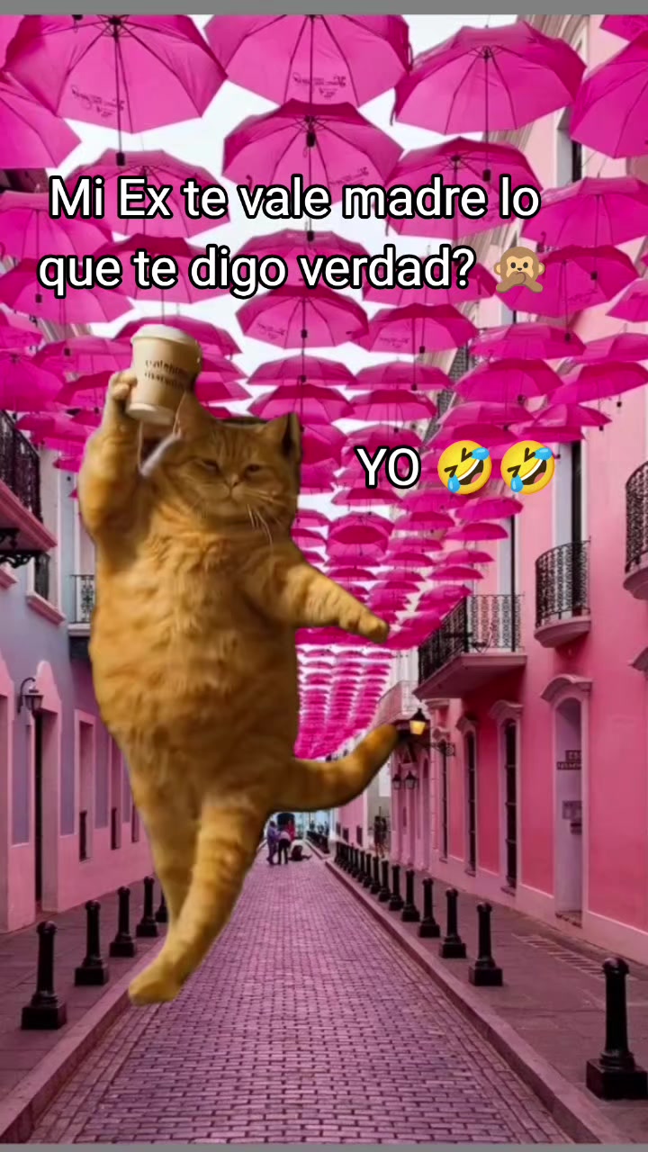 @Aid&eacute; Moreno