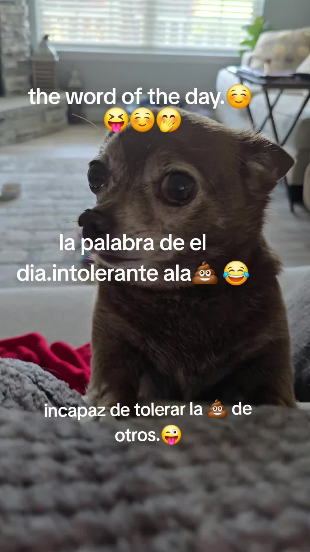 @peanut l palomares