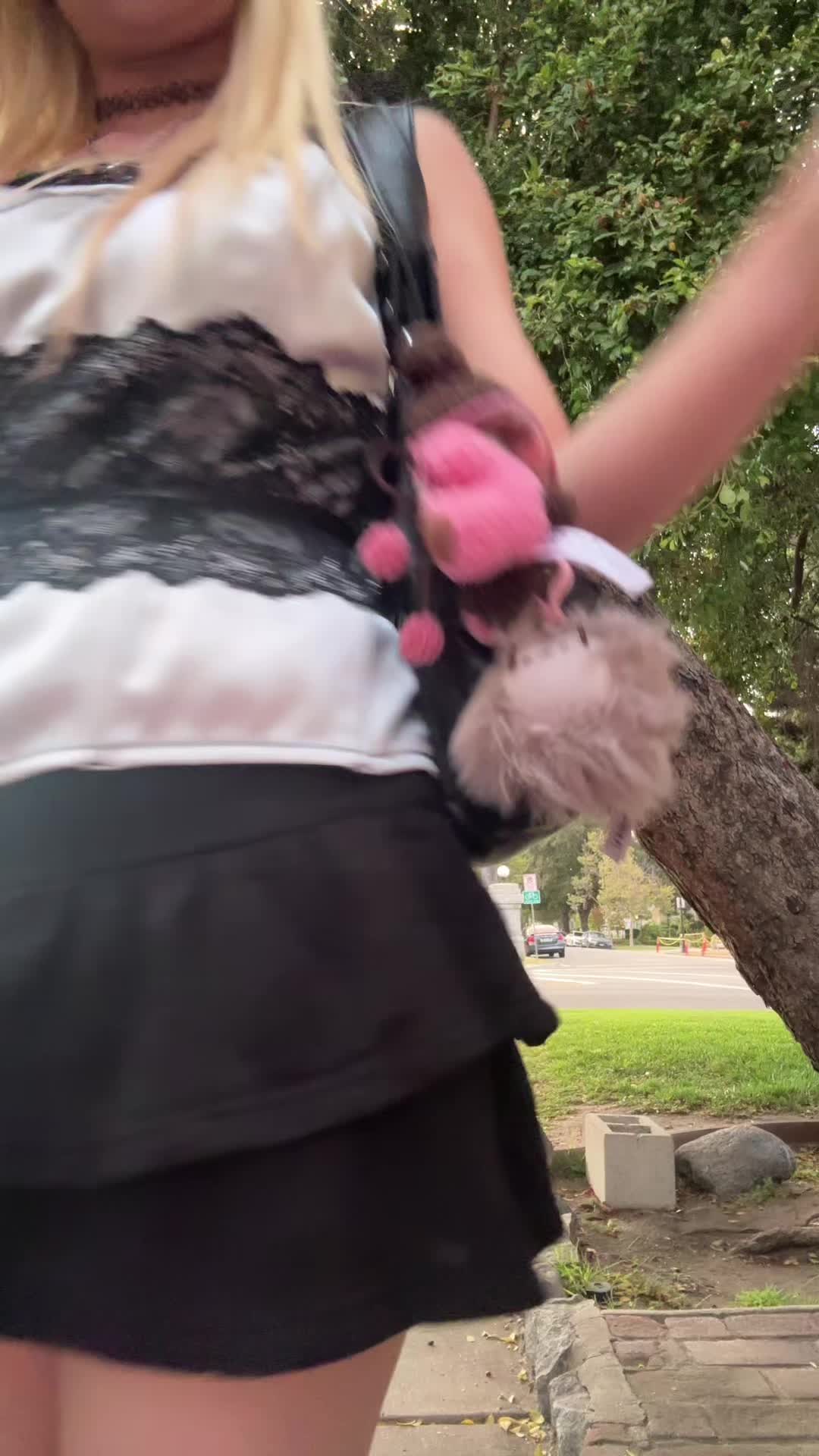 @🐾