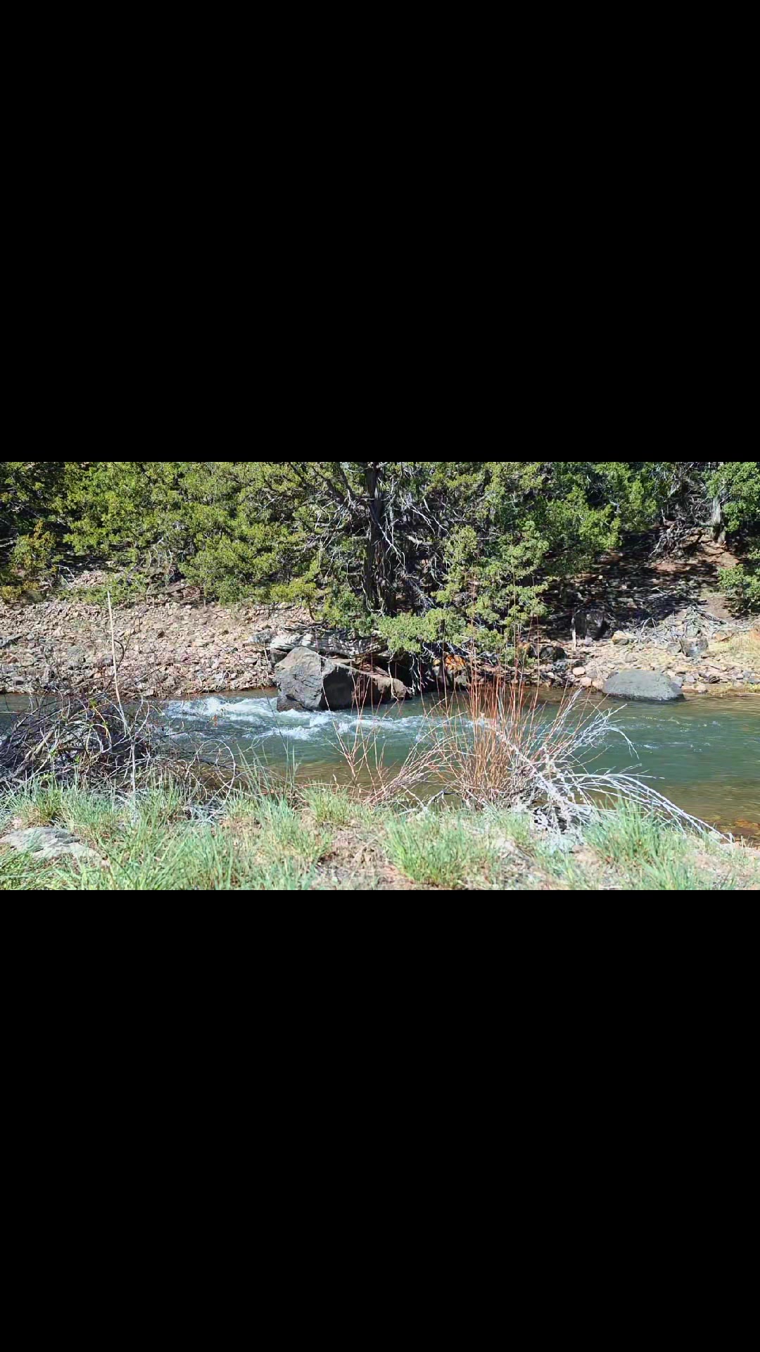 @Nevada HIGHDesert