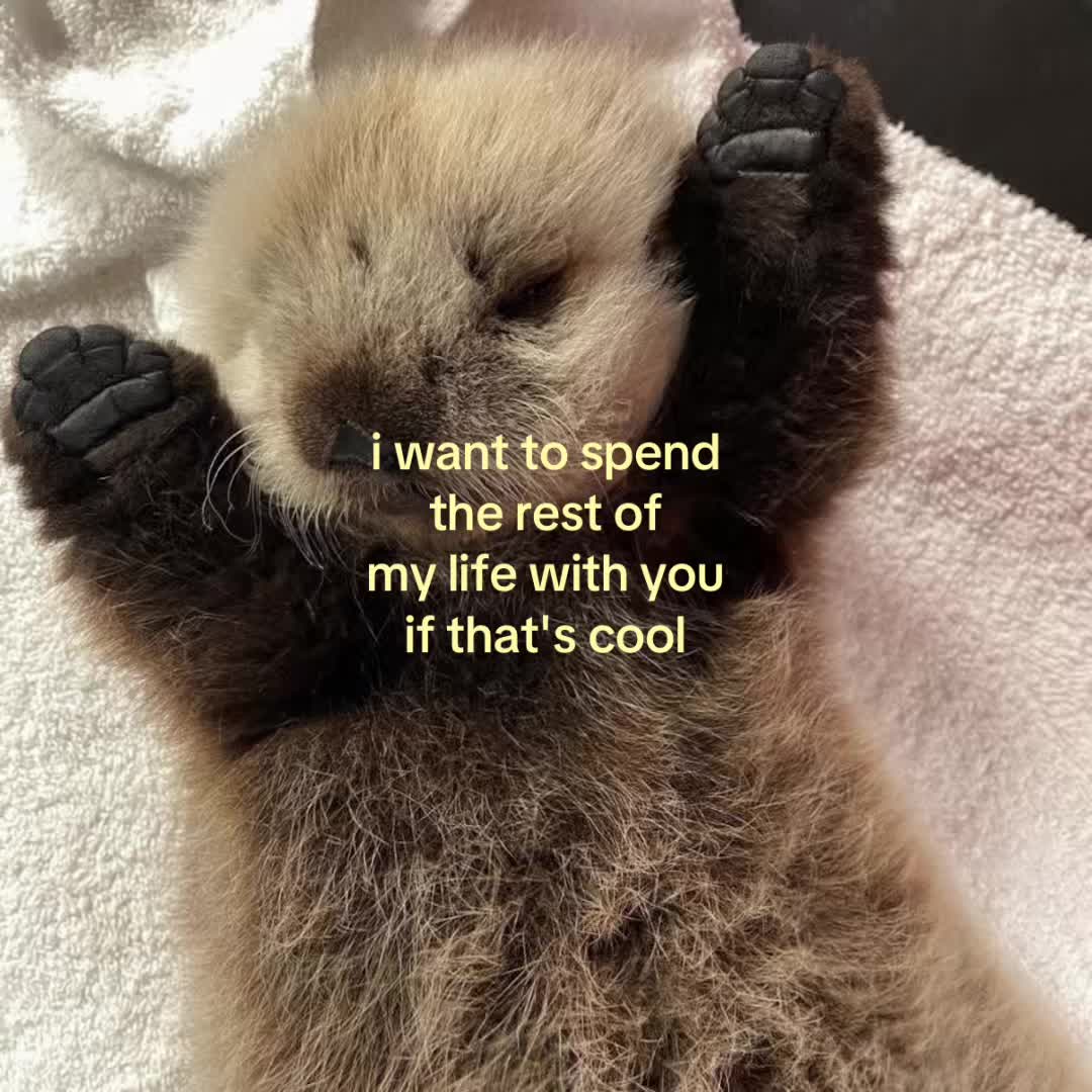 @motionsoflove