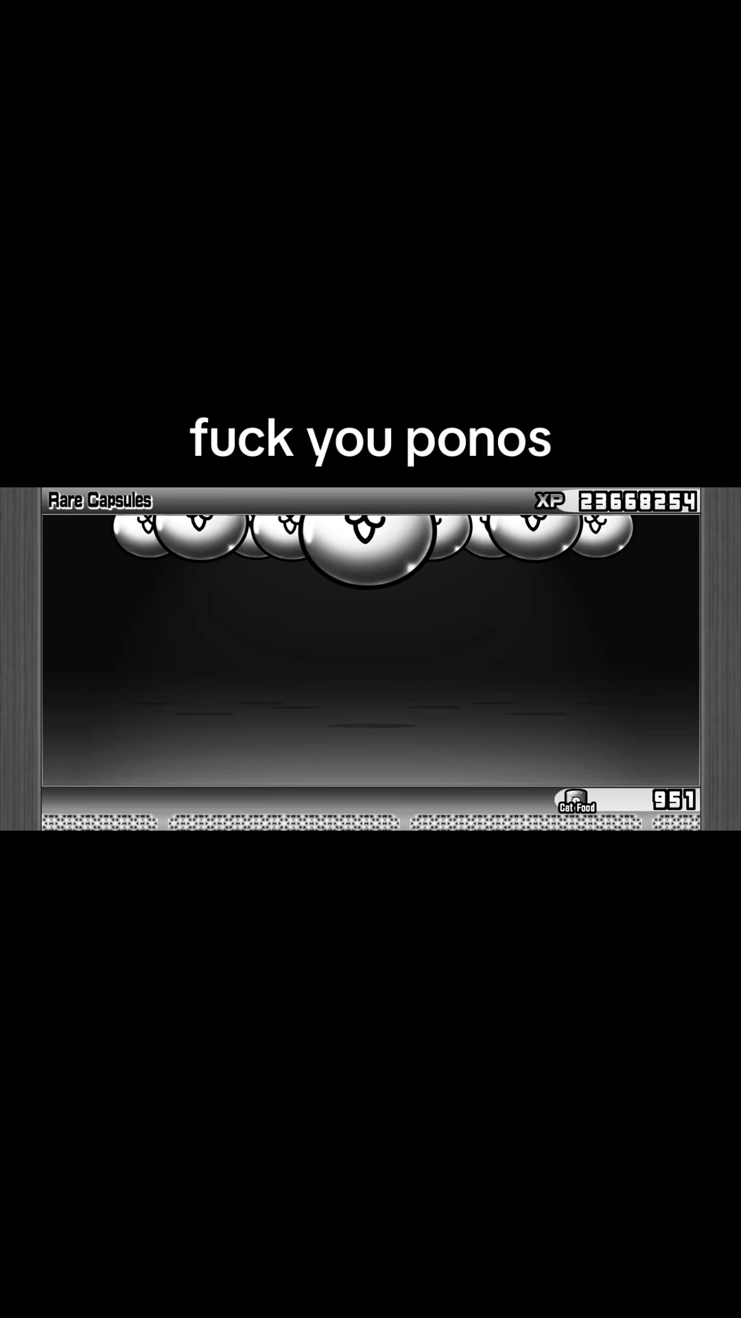 @kris