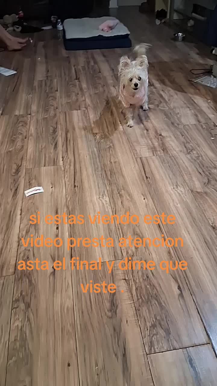 @Soy, aquel3704