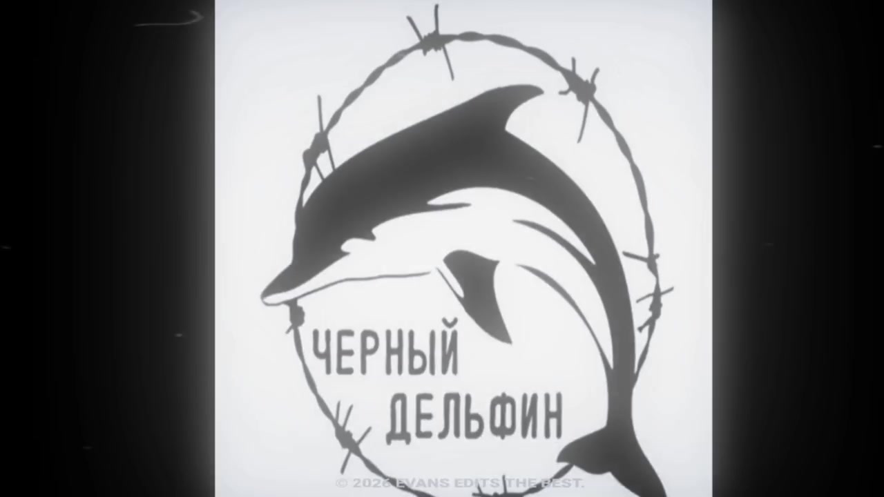 @Настя Мирная