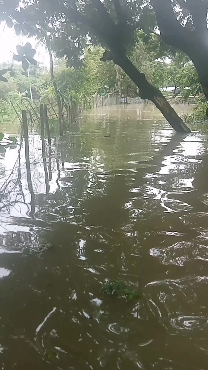 @বাঁশখালী ছেলে ফরহাদ