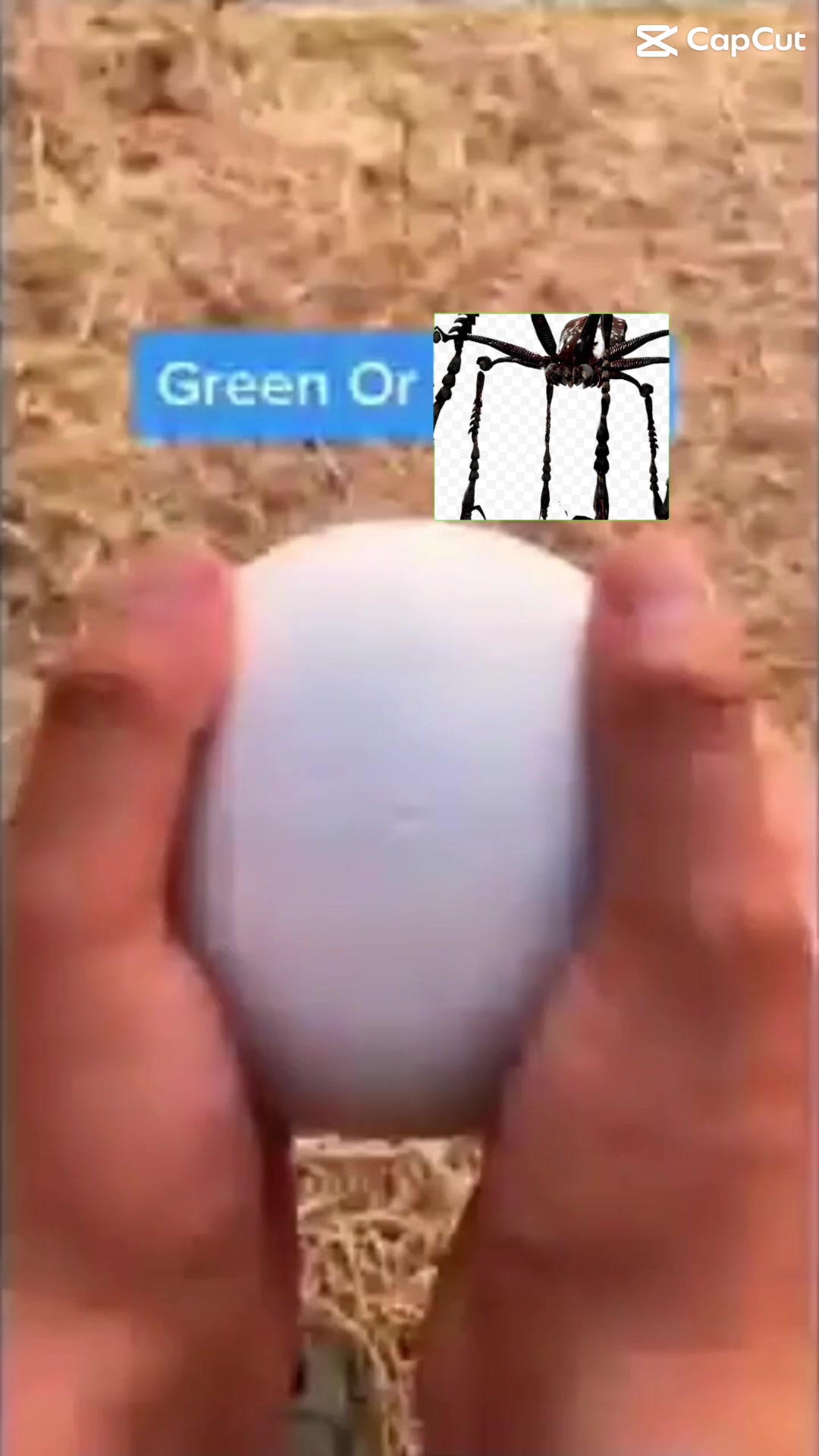 @FroggyVR