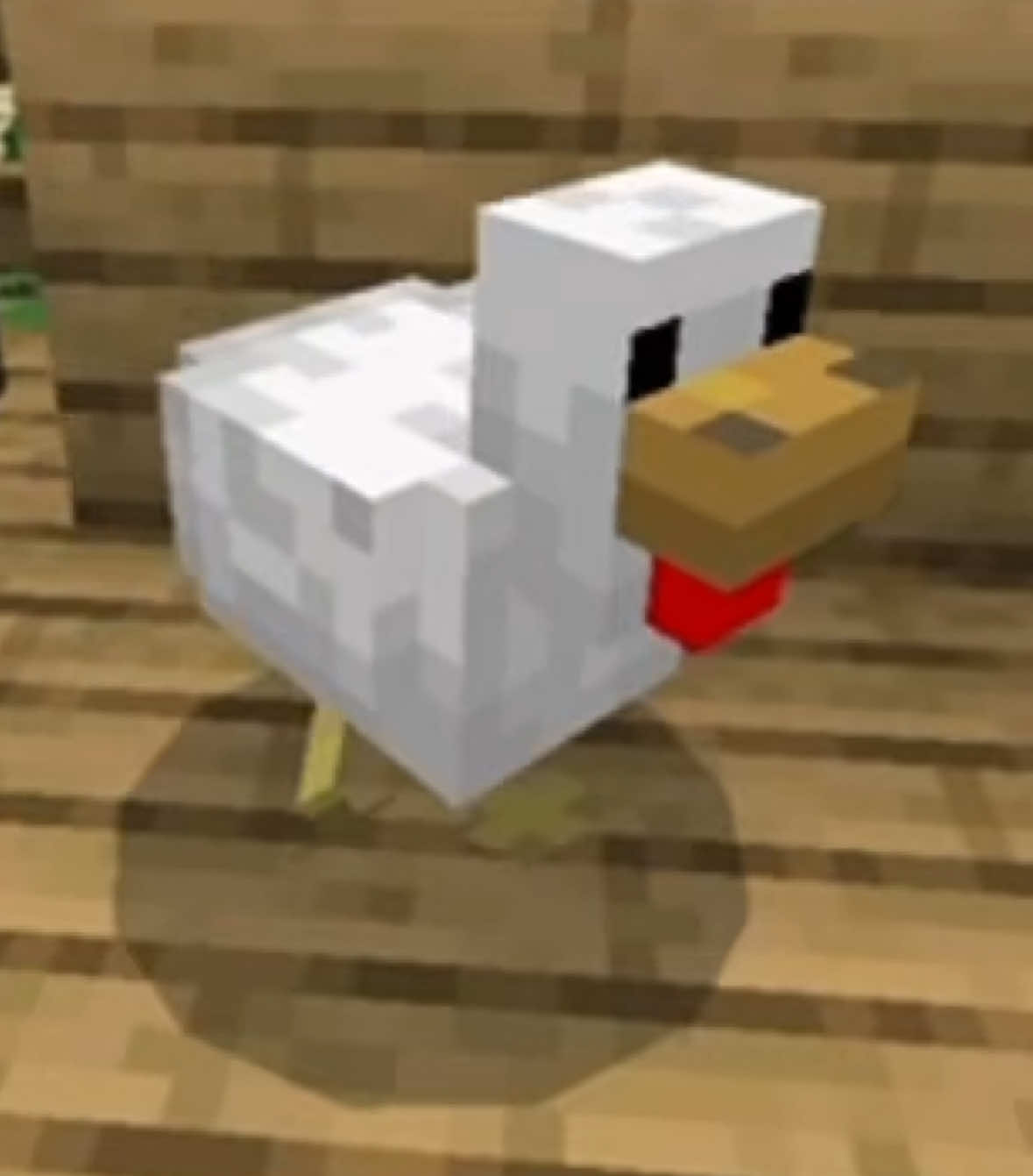 @atom_chicken