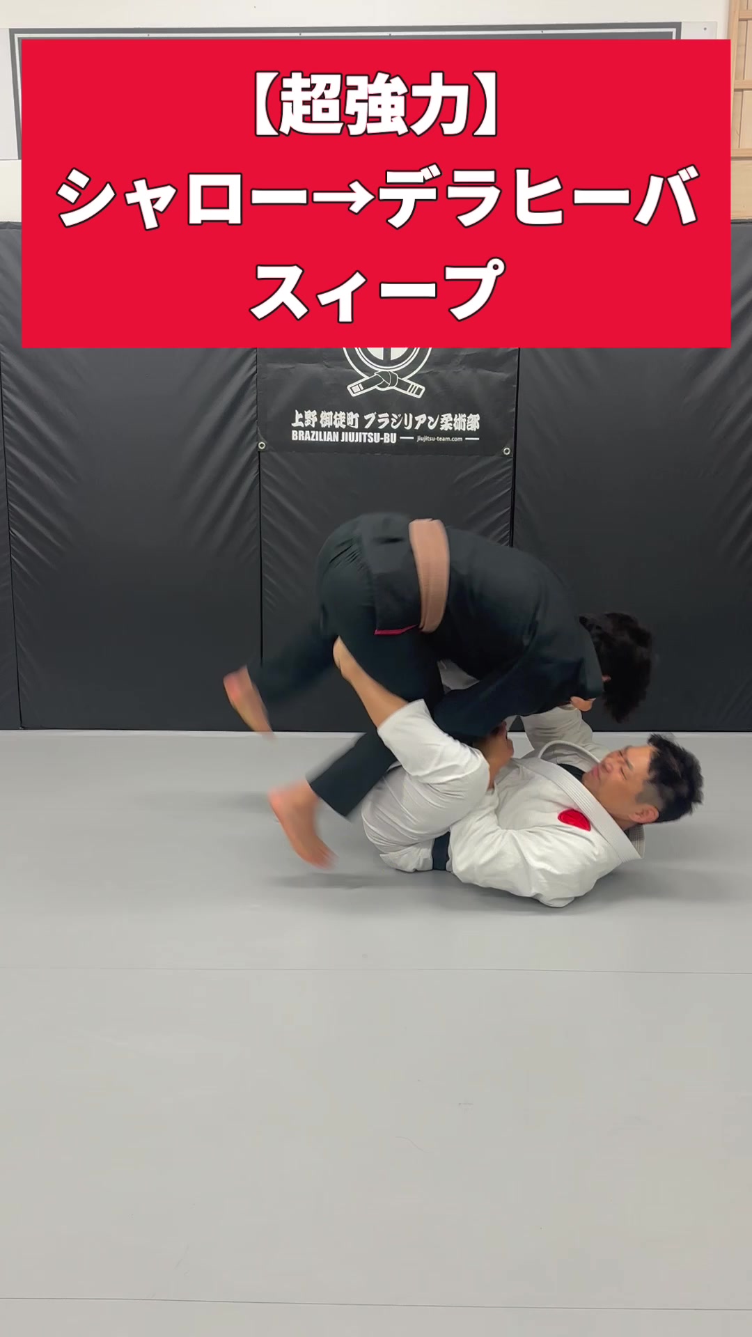 @上野御徒町 小石川白山 ブラジリアン柔術部