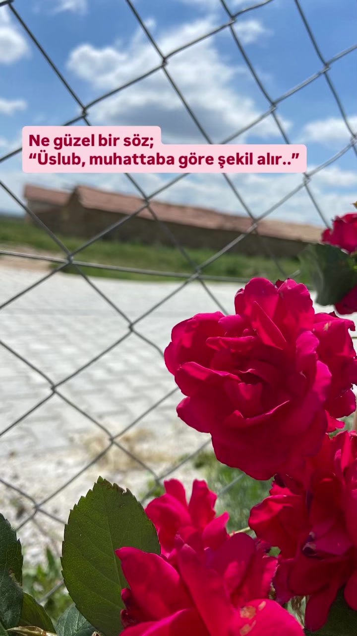 @Menekşe Türkkan