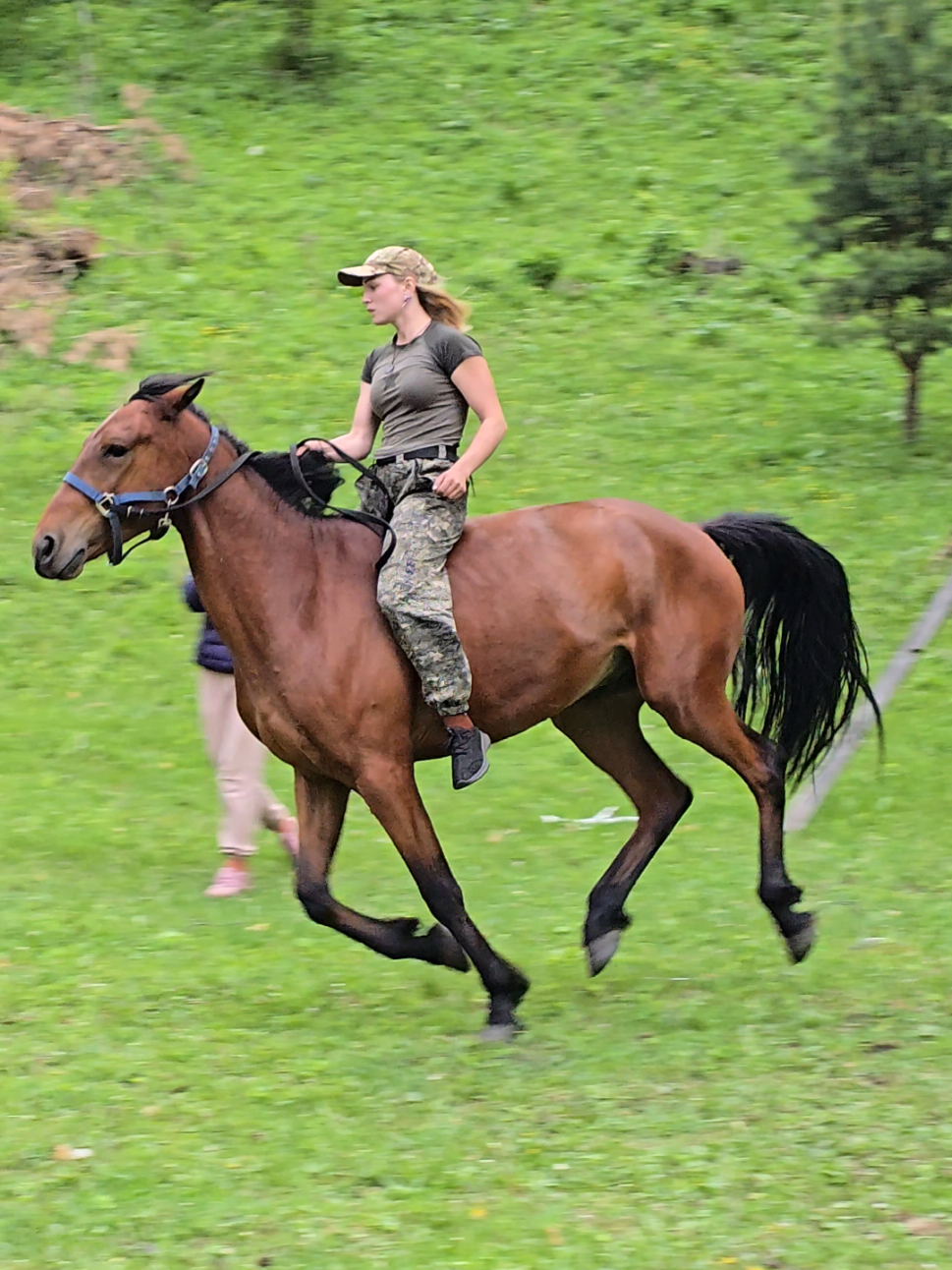 @tg: altaihorses