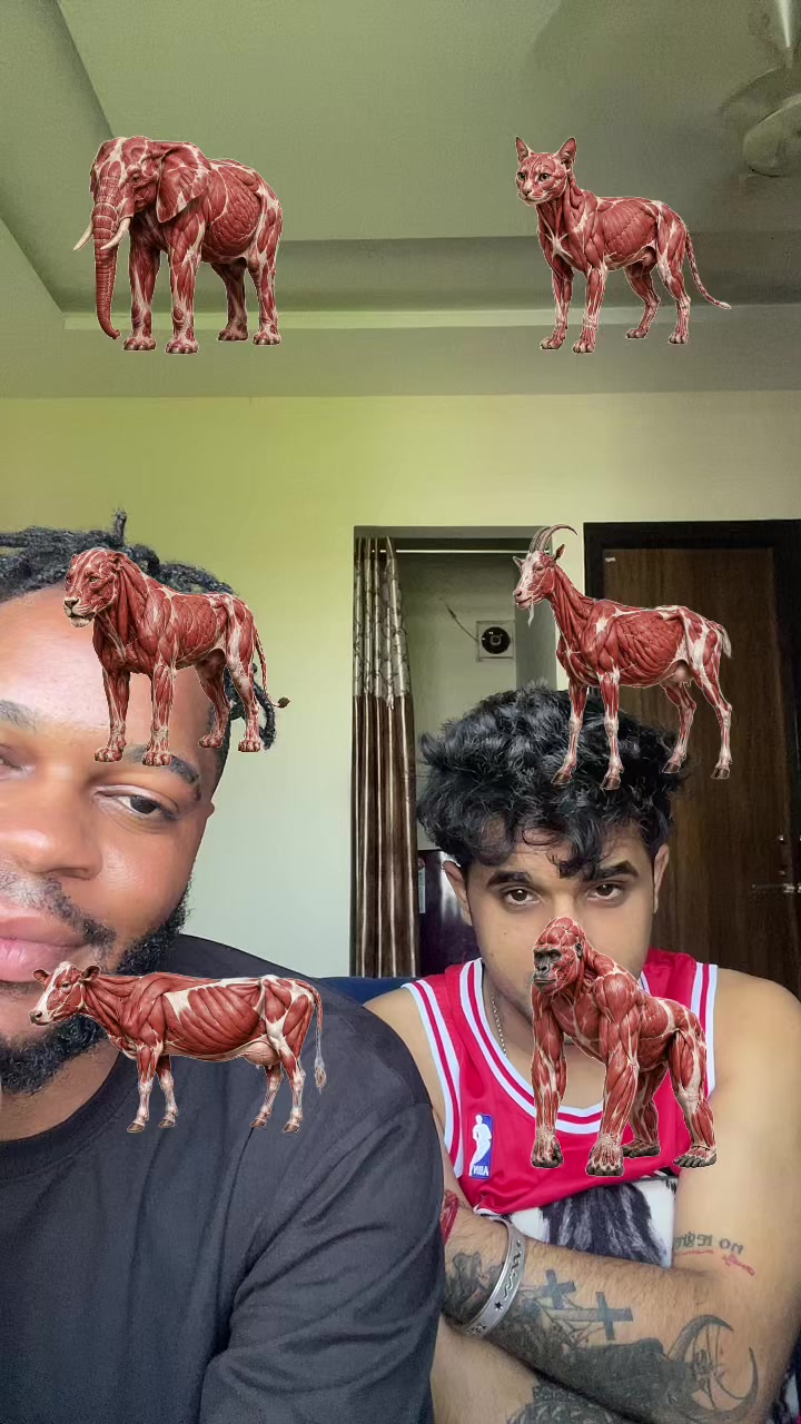 @chrisantony