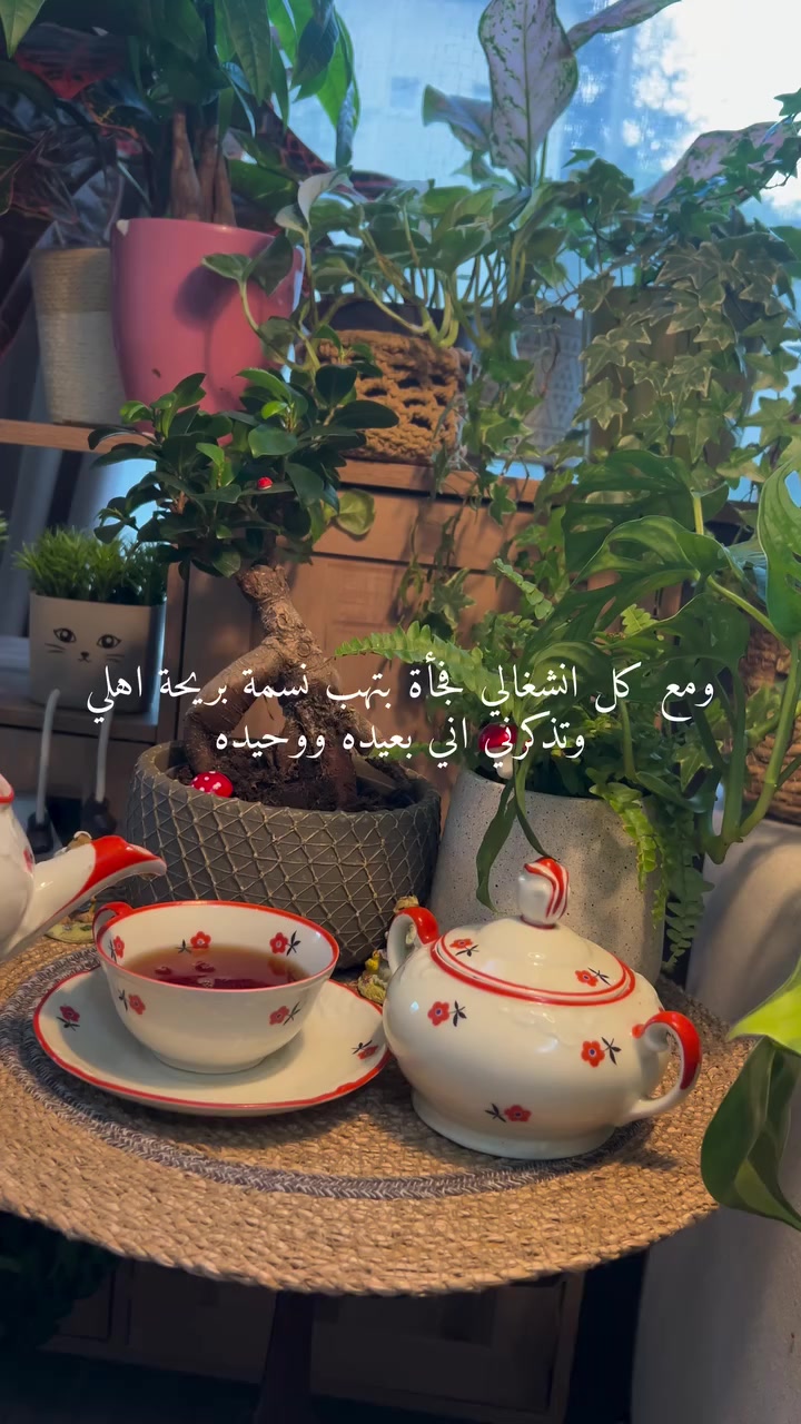 @✨𓆩✯𝐄𝐦𝐚𝐧✯𓆪✨