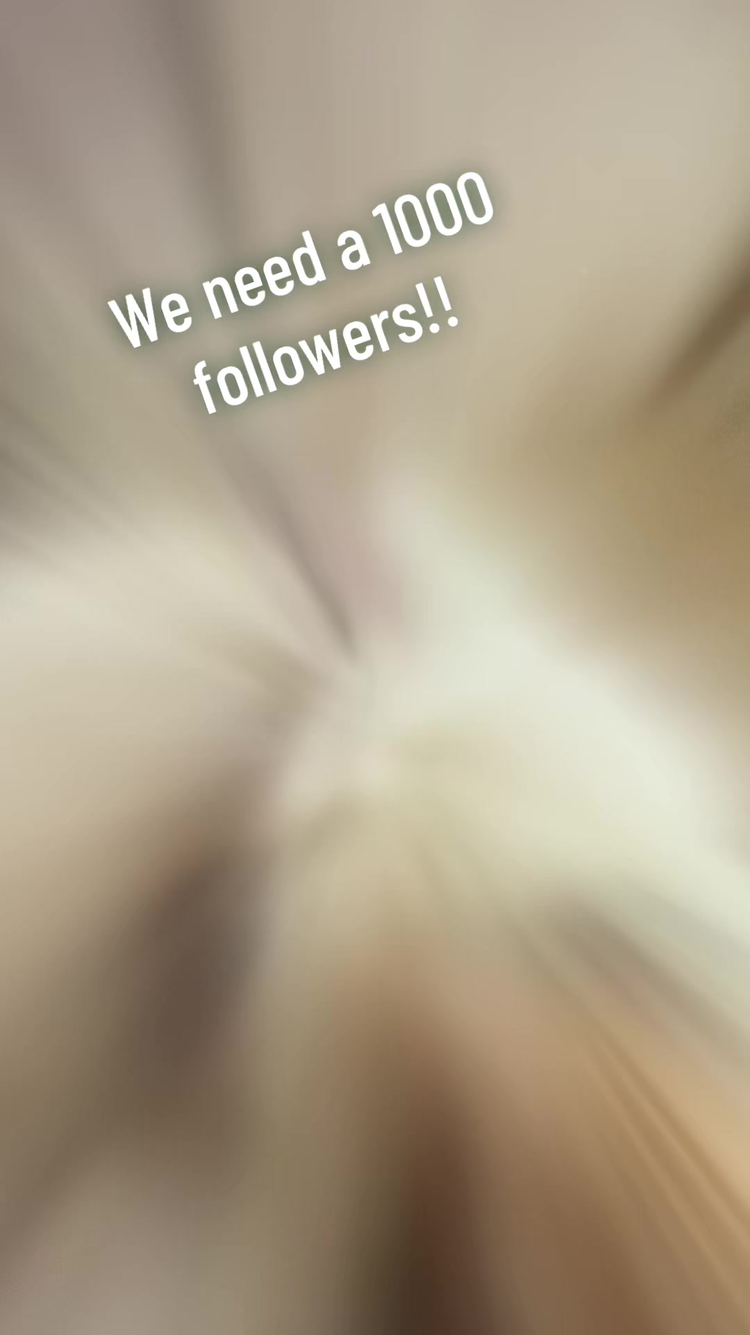 @adventureswithnatia