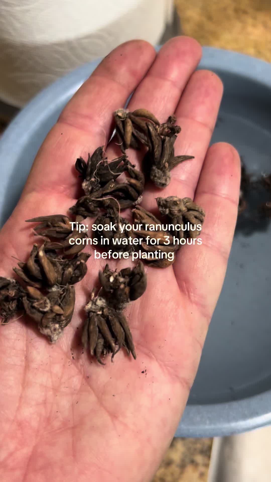@gardeninginoside