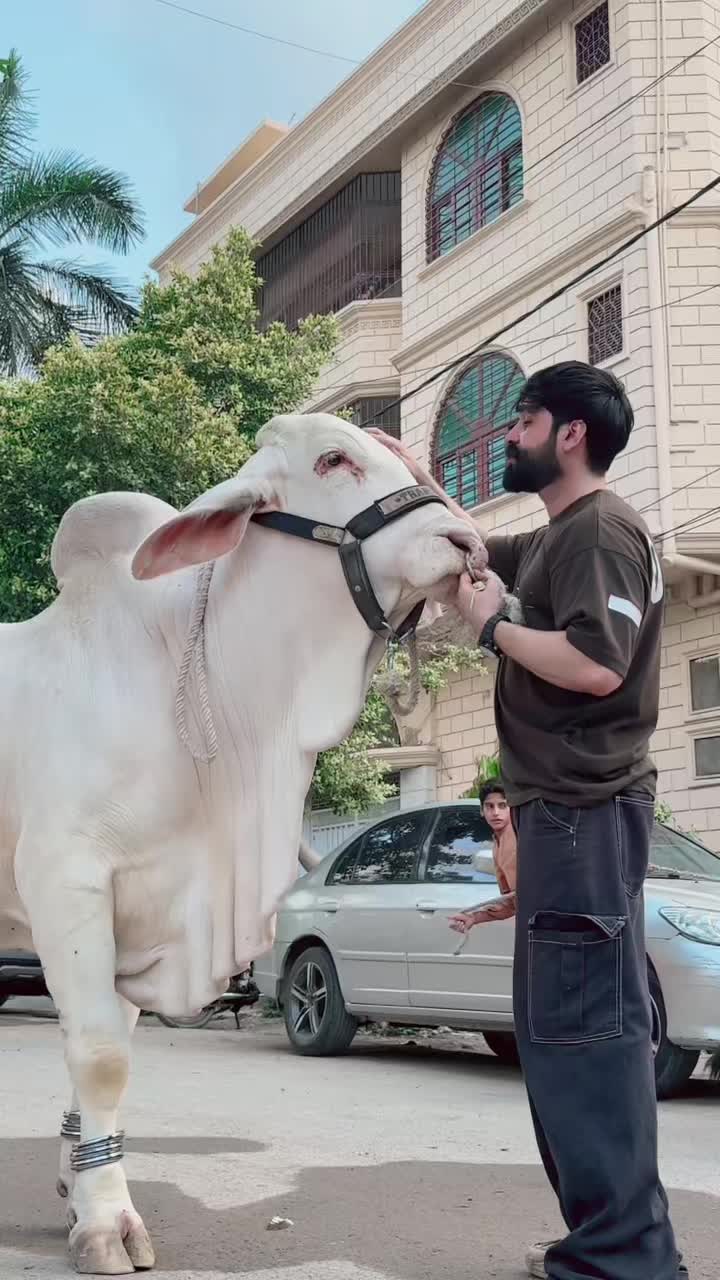 @SuFi Rasheed,,