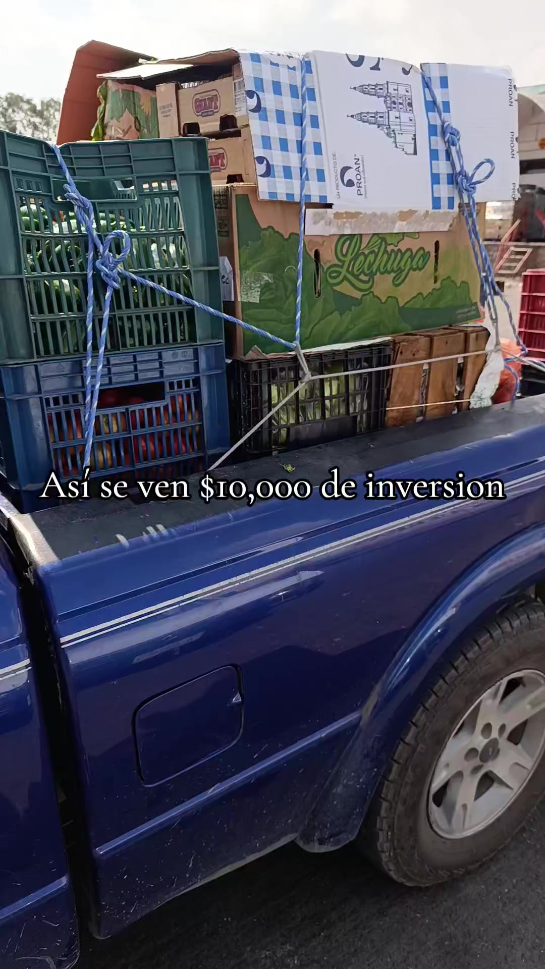 @Conecta-dos