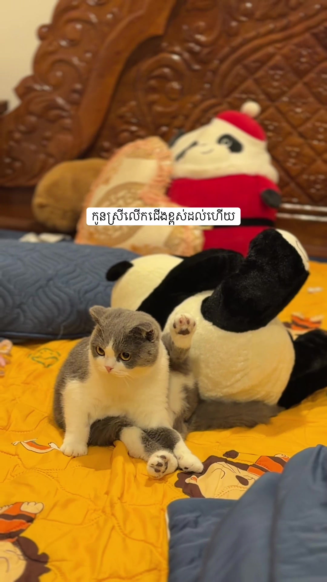 @Jinjin&mimi