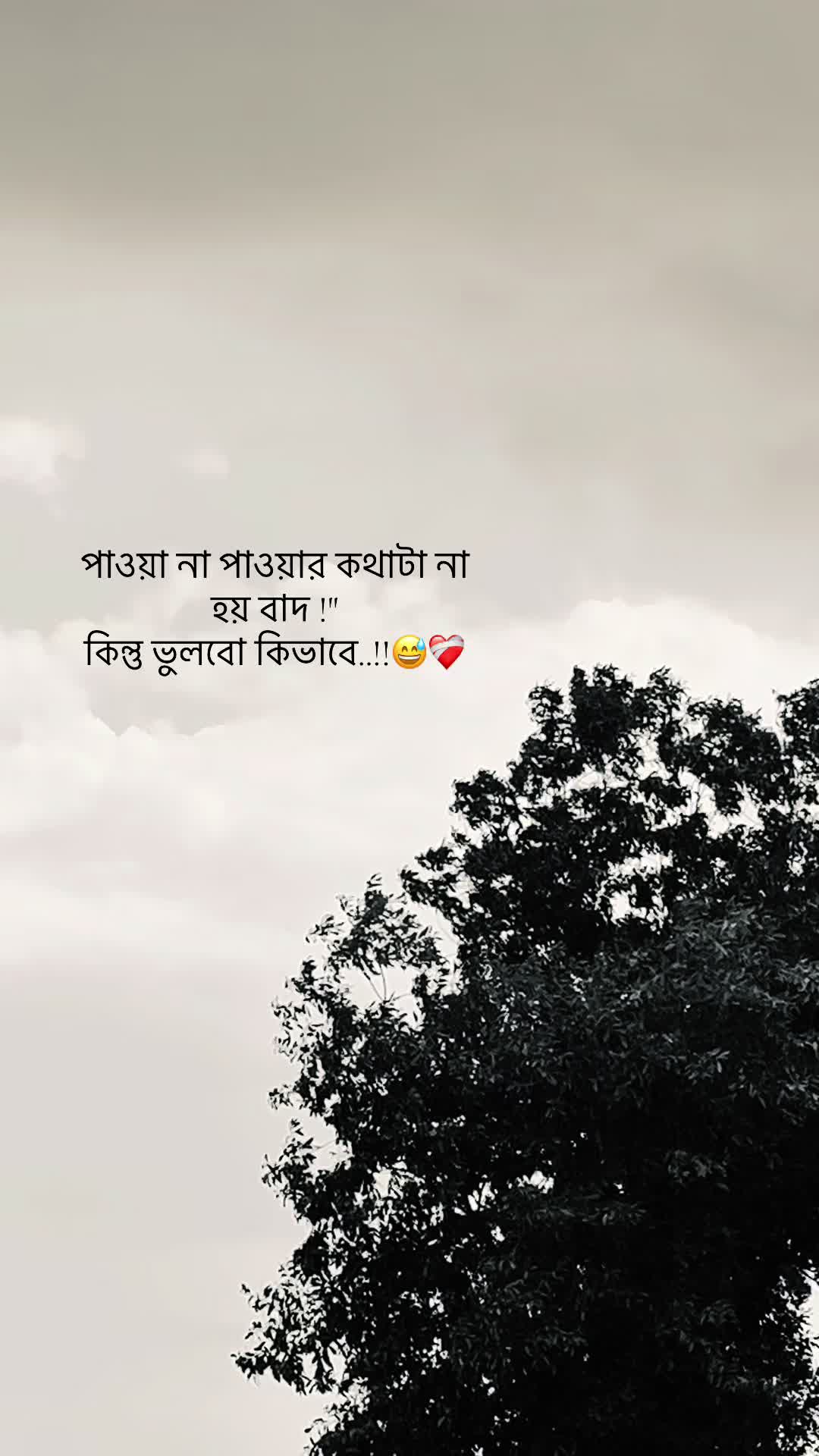 @đŗī¸A Z I M đĢ